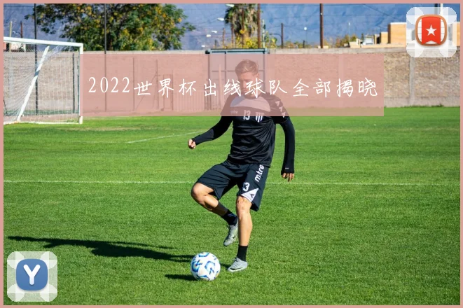 2022世界杯出线球队全部揭晓